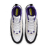 Nike Sb Air Max Ishod 2 White / Black / Court Purple