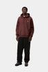 Carhartt Hooded American Script Sweat - Amarone - I028279_826_XX