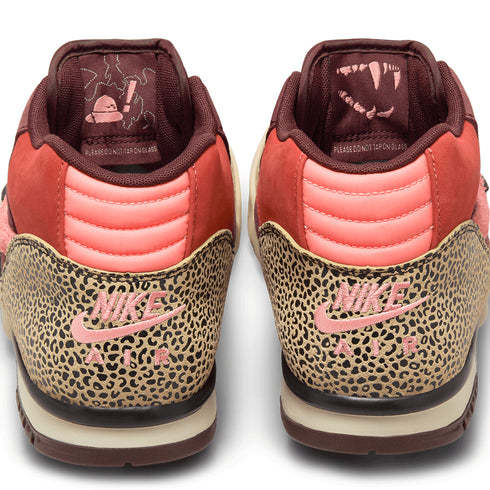 Nike Sb Air Trainer 1 Qs Art & Rec Limestone / Pink Quartz / Earth - Streetart.fr