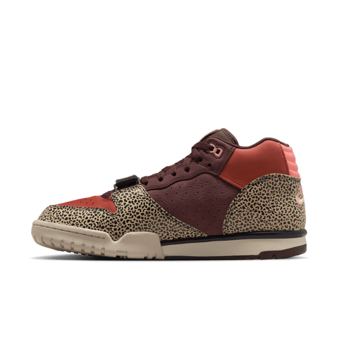 Nike SB Air Trainer 1 Qs Art & - Rec Limestone / Pink Quartz / Earth — vue 5
