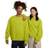 Nike SB Fleece Crew Essential Logo - Bright Cactus / White - Streetart.fr