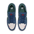 Nike SB Force 58 - Navy / Summit White / Noble Green - Streetart.fr