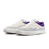 Nike Sb Malor Platinum Tint/ Court Purple - Wolf Grey - Streetart.fr