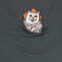 Ripndip It'S Nerm Pocket T-Shirt - Charcoal - Streetart.fr